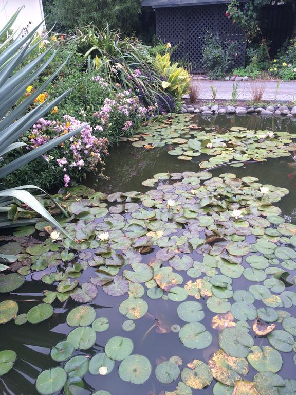 Water Lily Garden Bed and Breakfast Christchurch Buitenkant foto